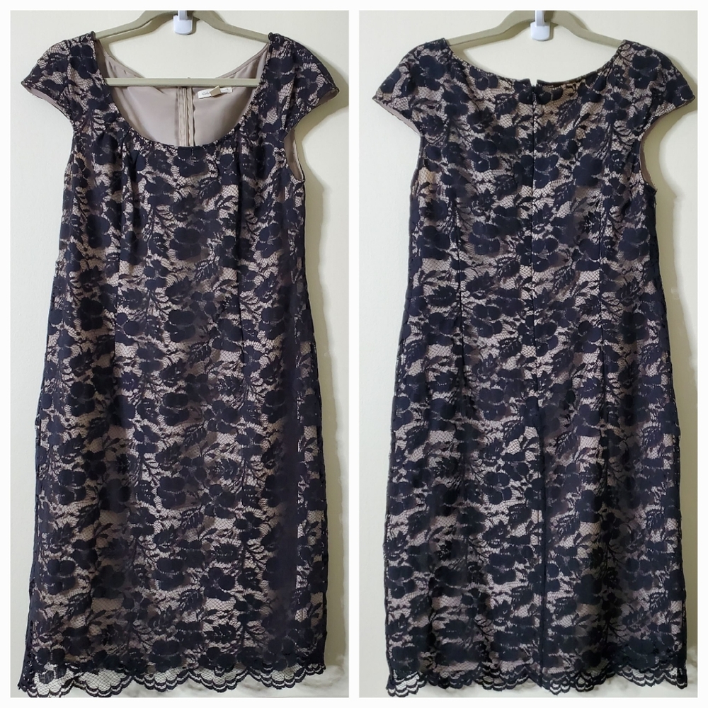 Coldwater Creek Lace Short Sleeve Dress Size 14 Black